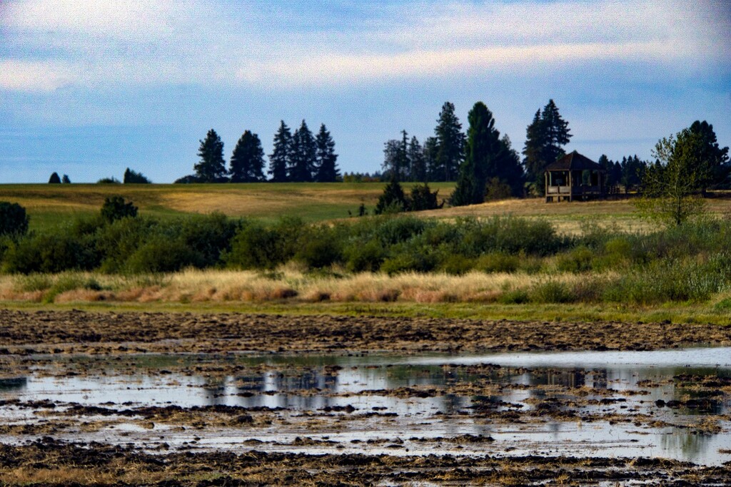 Wetlands at Baskett Slough by granagringa
