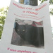 Missing Cat Poster  by sfeldphotos