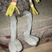 Legs #3:  Toy Bird  by spanishliz