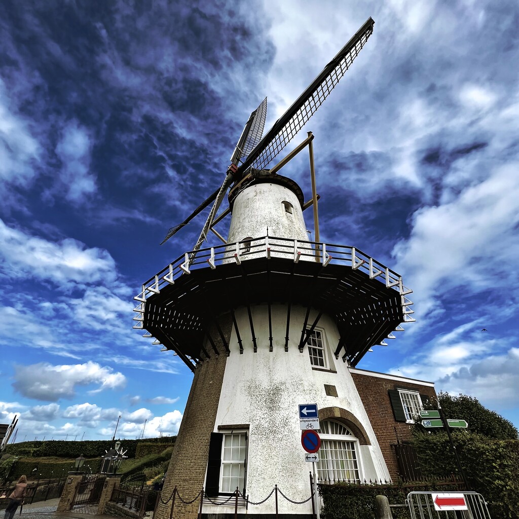 A typical Dutch windmill by mastermek