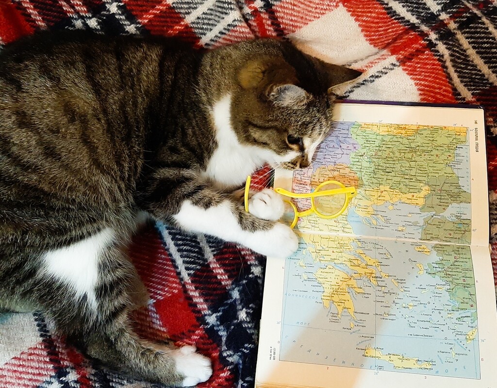 While I'm working, my cat chooses where to go on vacation by maria03051