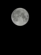 10th Sep 2022 - Tonight's Full Moon