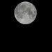 Tonight's Full Moon by plainjaneandnononsense