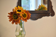 18th Sep 2022 - Another View Of My Sunflower Bouquet...