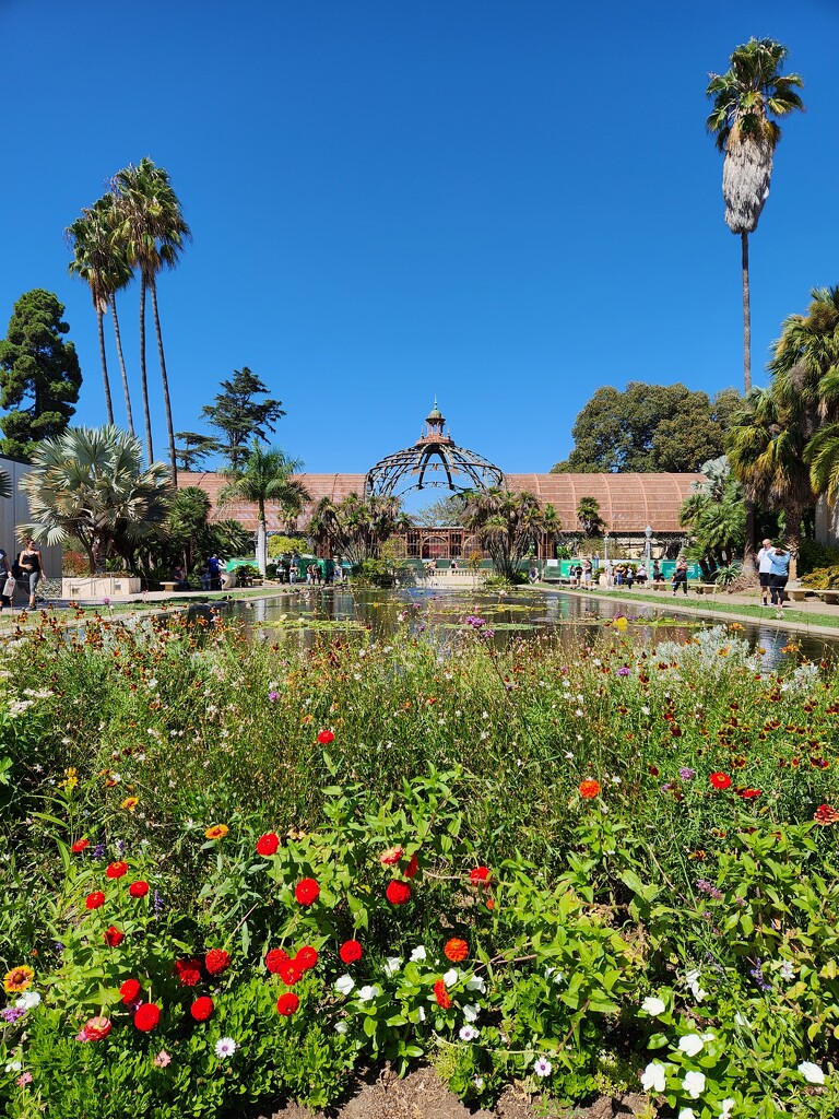 Balboa Park Botanical Building & Lily Pond by mariaostrowski