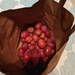 Harvest of plums 
