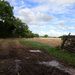 A Warwickshire field by speedwell