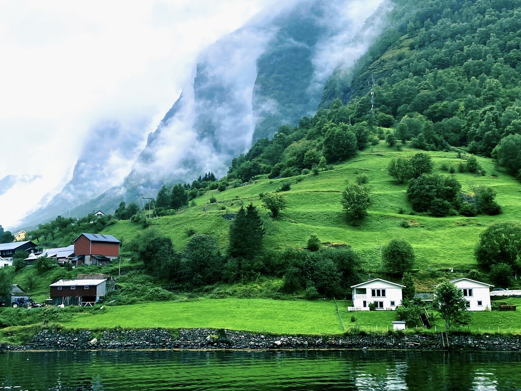 Hillside on the Naersfjord Cruise - Norway  by 365canupp