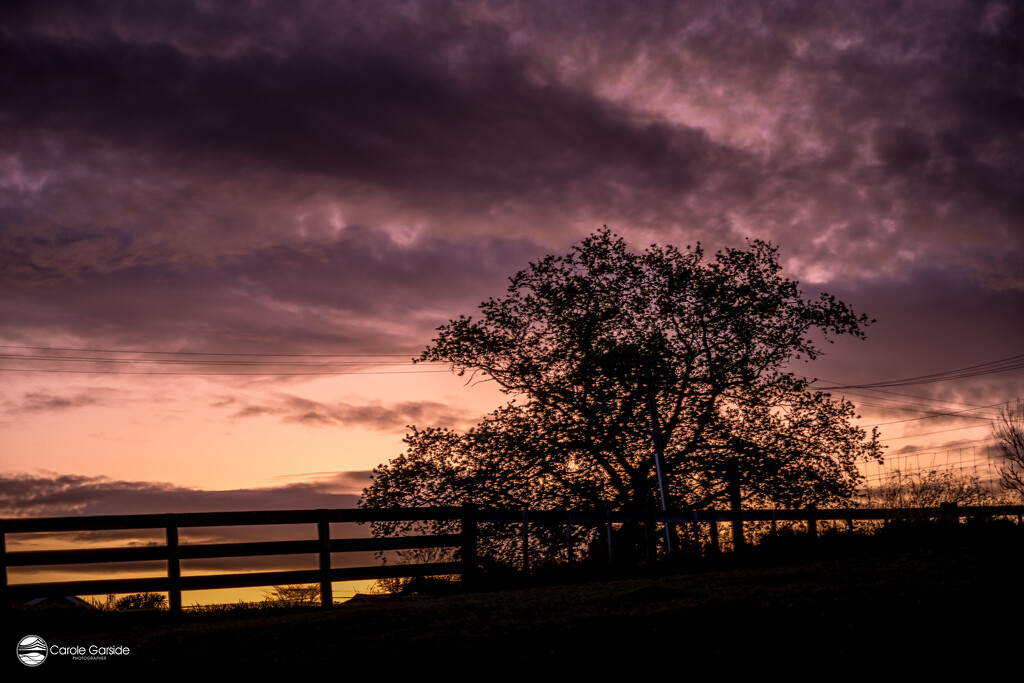 Evening sky by yorkshirekiwi