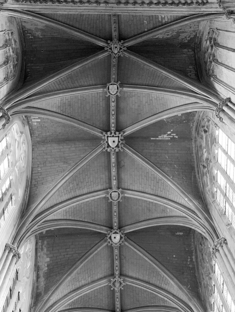 Ceiling of Tours Cathedral by philm666