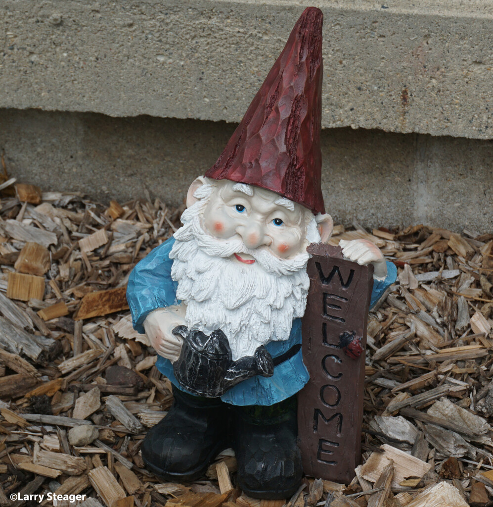 Garden gnome by larrysphotos