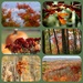 Autumn by amyk
