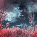 Surreal Infrared