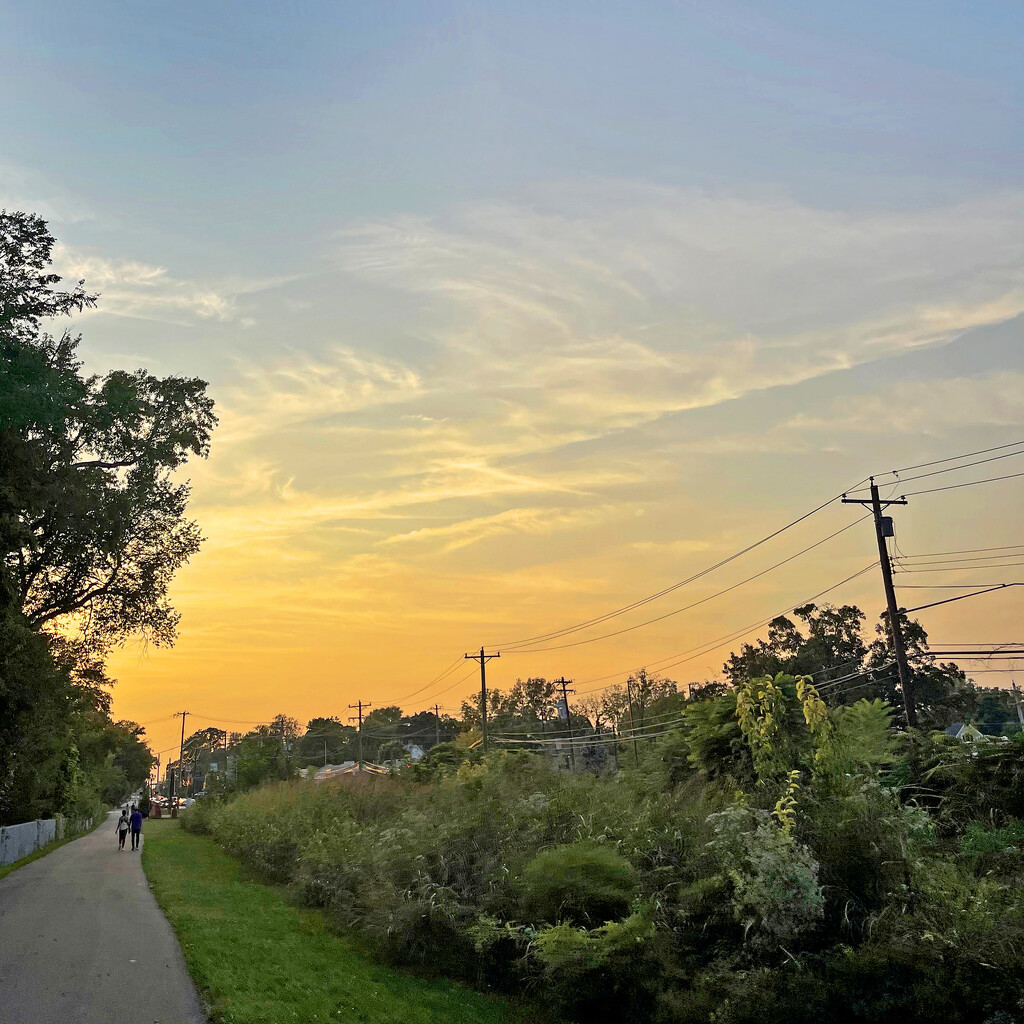 Walking At Sunset by yogiw
