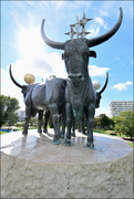 23rd Sep 2022 - Bulls of Taurus Hill......