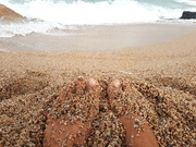 15th Sep 2022 - Zand tussen mijn tenen