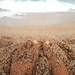Zand tussen mijn tenen