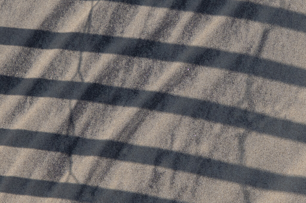 Dune and Shadows by timerskine