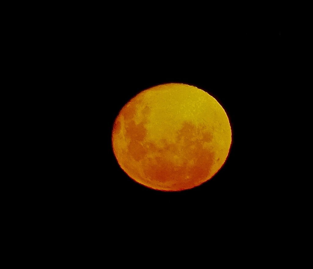 The full moon was blood red due to smoke from Australia  by Dawn