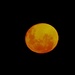 The full moon was blood red due to smoke from Australia  by Dawn