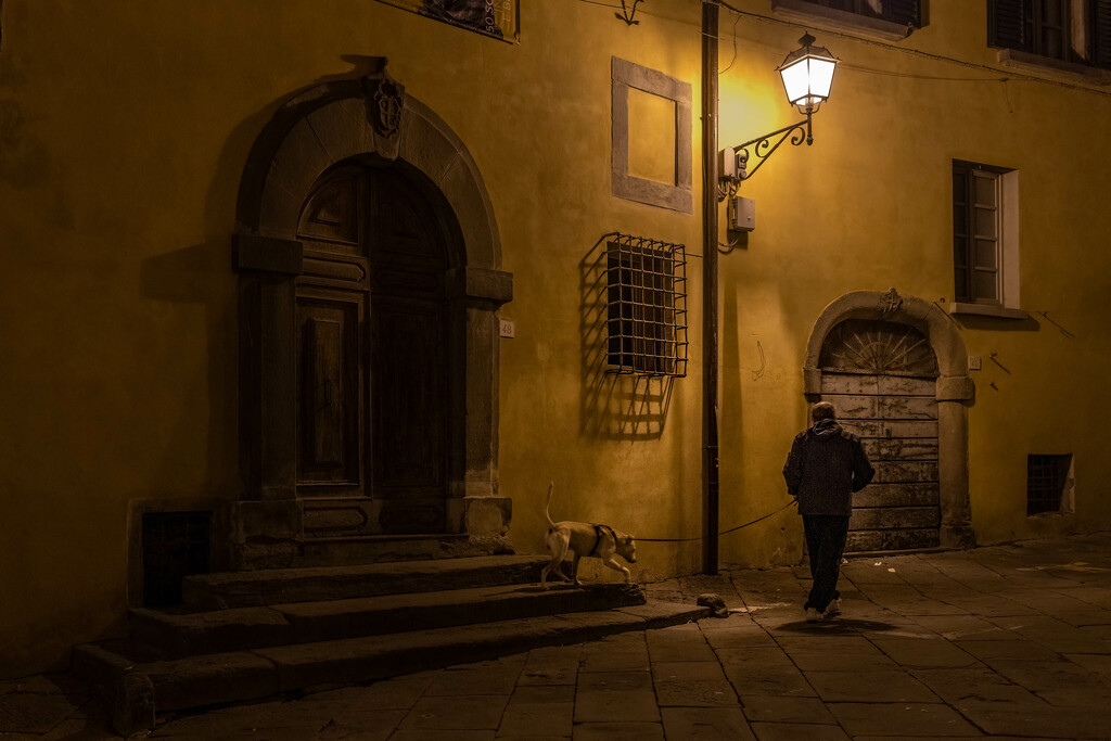 Latenight Lucignano Dogwalker by jyokota