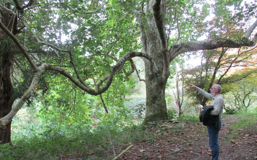Paul and a long tree branch. Muncaster woodlands. by grace55