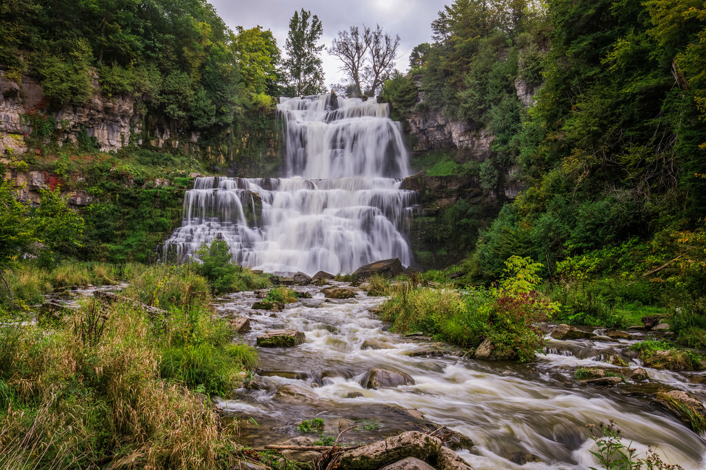 Chittenango Falls by pamalama
