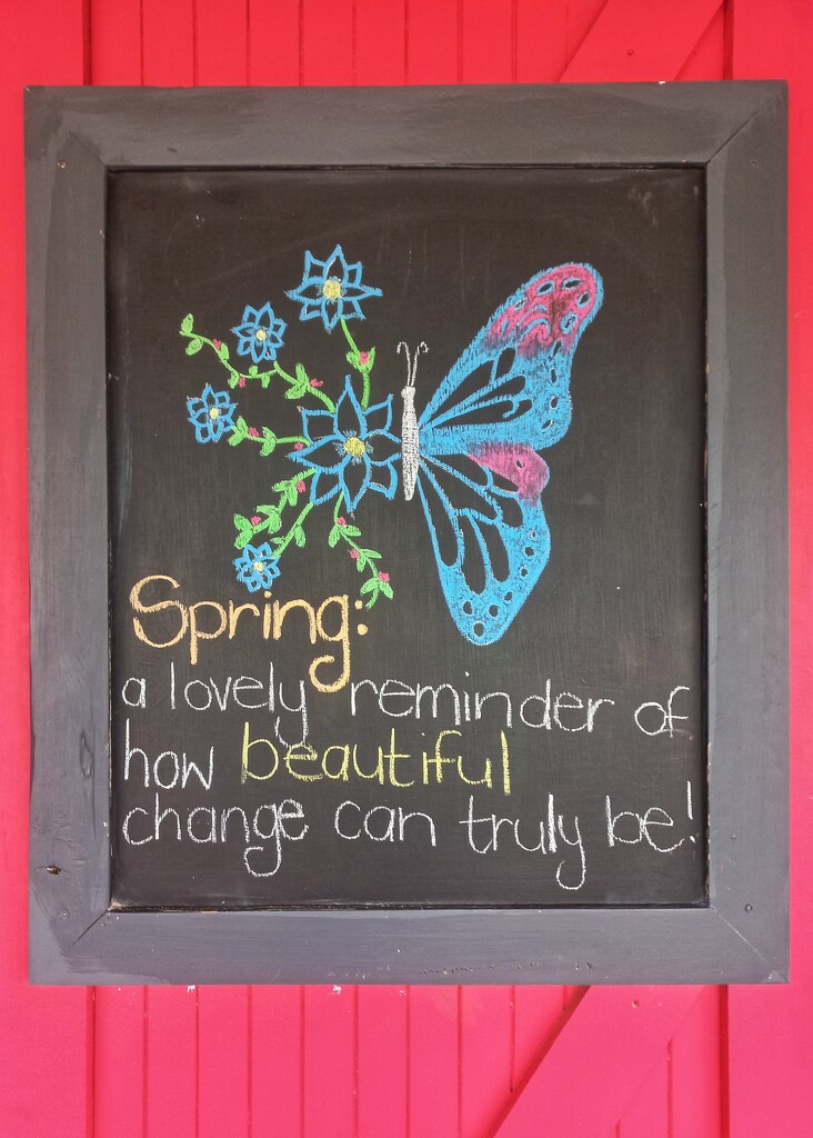 Spring Message  by salza