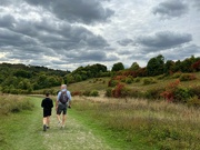 25th Sep 2022 - The Chilterns