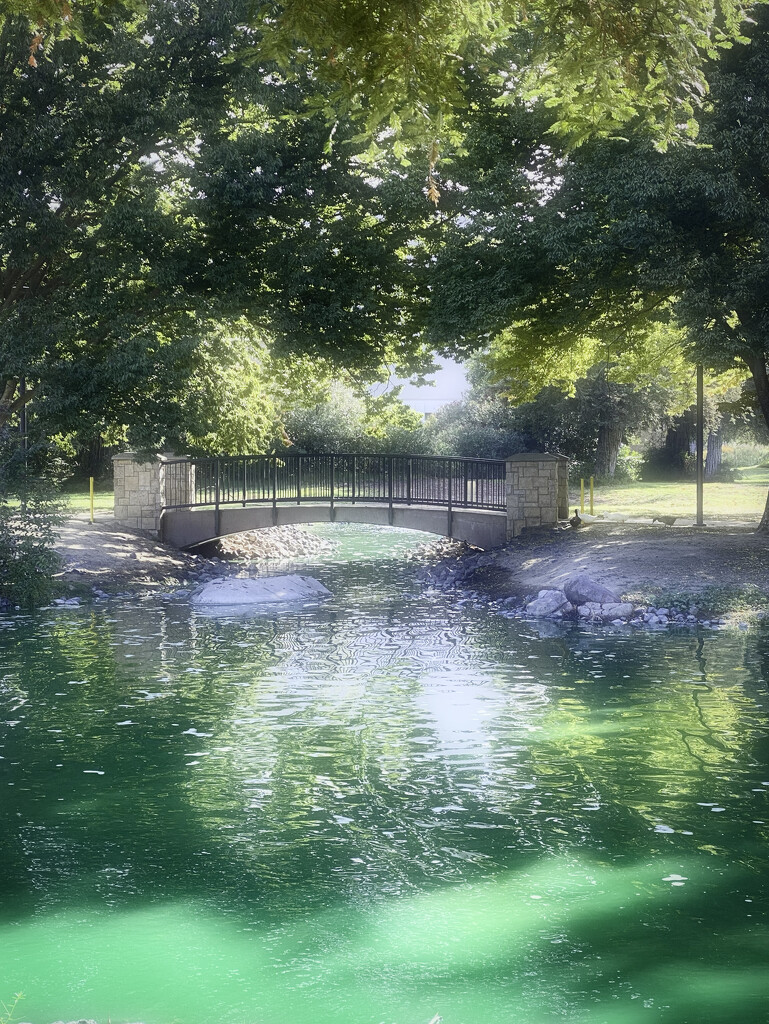 The Pond by joysfocus