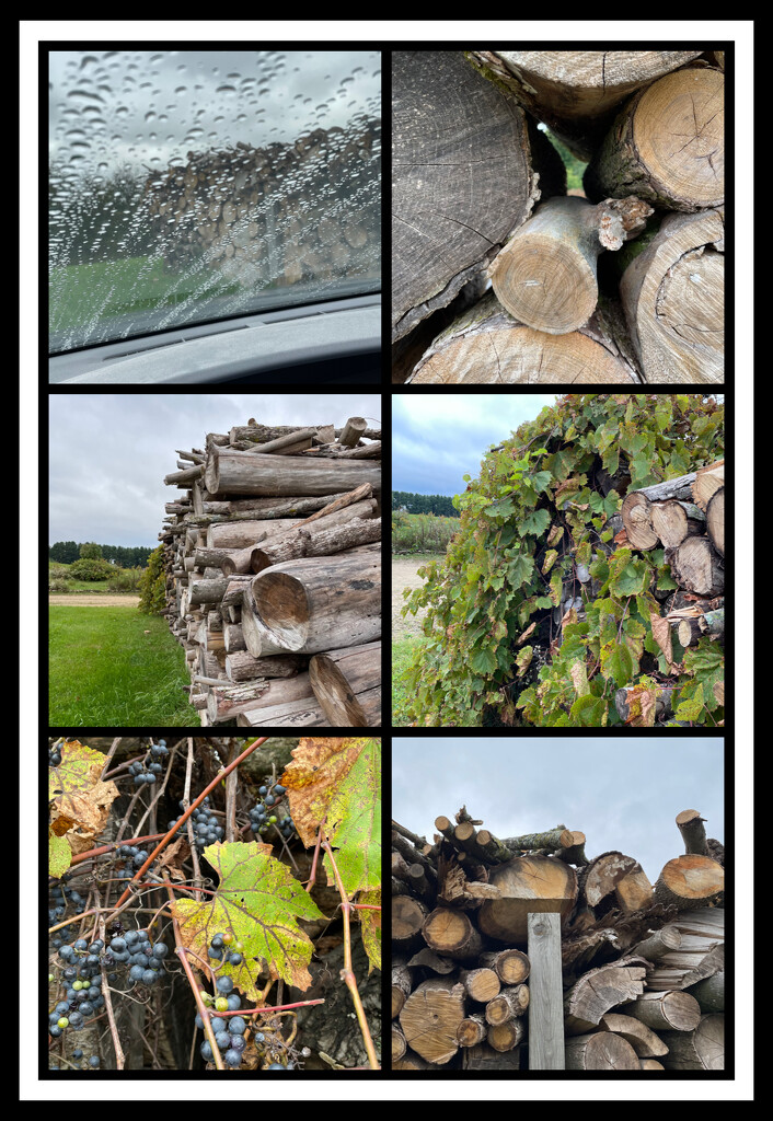 The Woodpile  by mcsiegle
