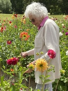 26th Sep 2022 - My 94 yr old Mum at The Greenfooted gardens just out of Kaikohe 