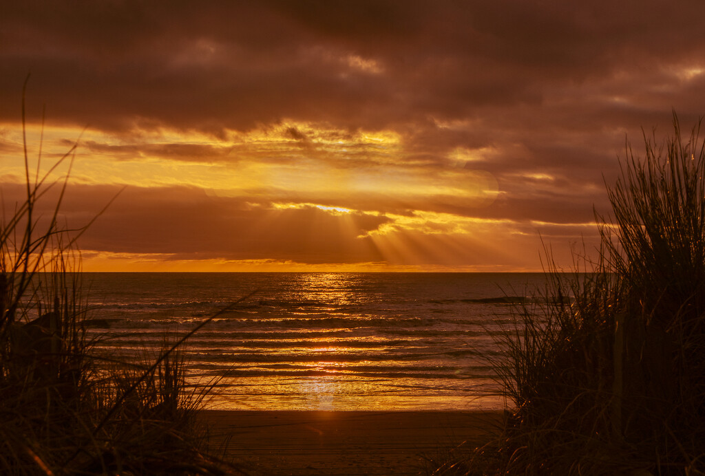 Golden sunset by suez1e