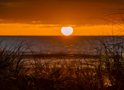 8th Sep 2022 - Another stunning Foxton Beach sunset