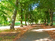26th Sep 2022 - A walk in the Park