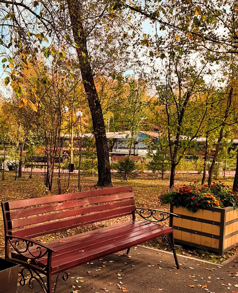 A bench in the park. by maria03051