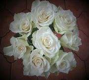 26th Sep 2022 - Beautiful roses.