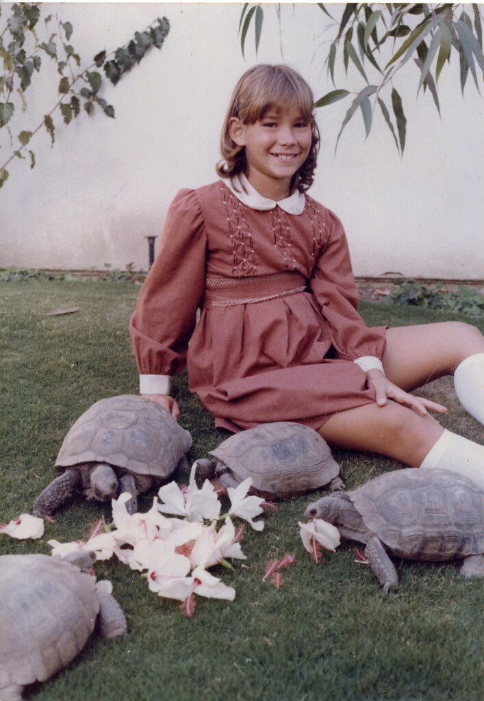 Heather 1980 Tortoises by Weezilou