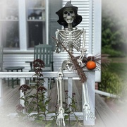 26th Sep 2022 - Skully Skeleton