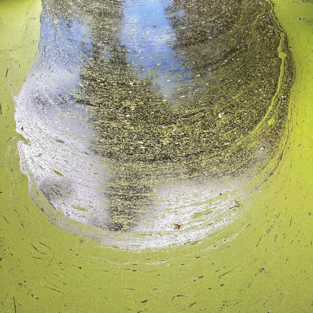 Water blob by mastermek