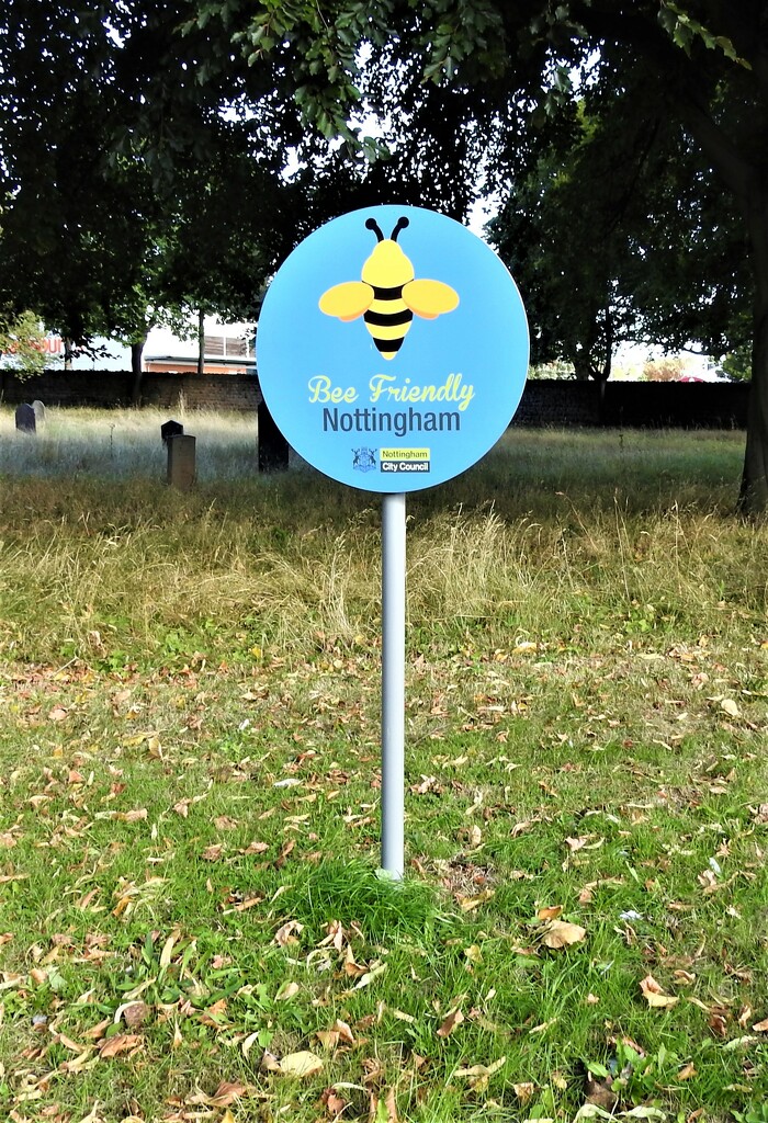 Bee Friendly Nottingham by oldjosh