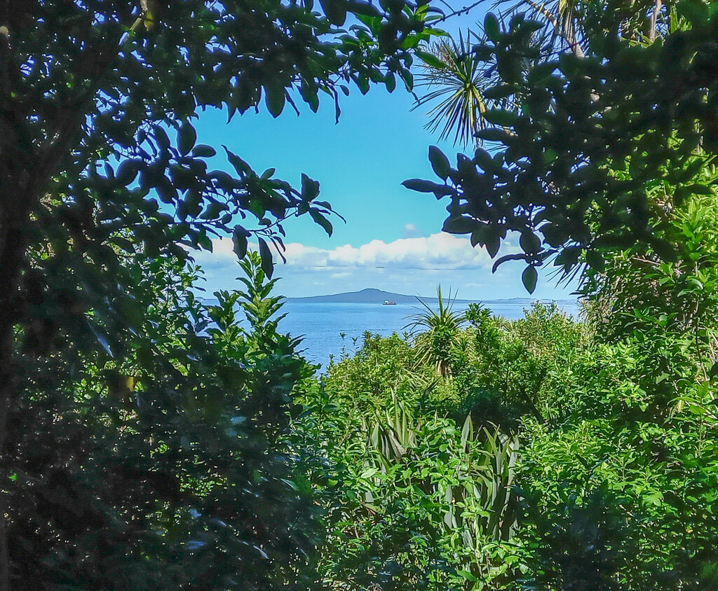 A peek through the bushes at Rangitoto Island by creative_shots
