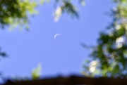 22nd Sep 2022 - Crescent Day Moon
