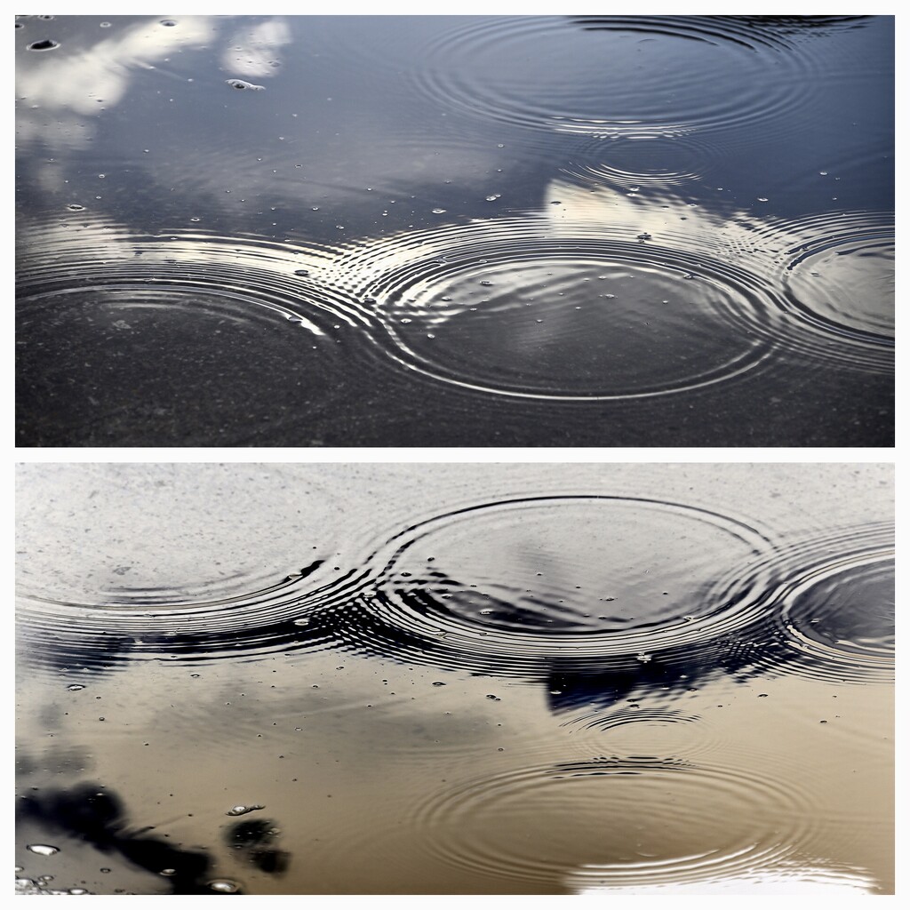 Puddle and Inverse Puddle by metzpah