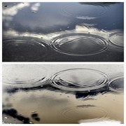 23rd Sep 2022 - Puddle and Inverse Puddle