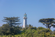 24th Jul 2022 - lighthouse between the trees at Tiri tiri