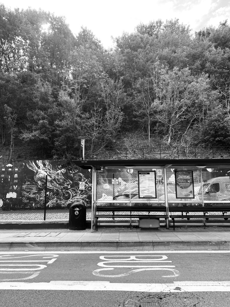 city bus stop by cam365pix