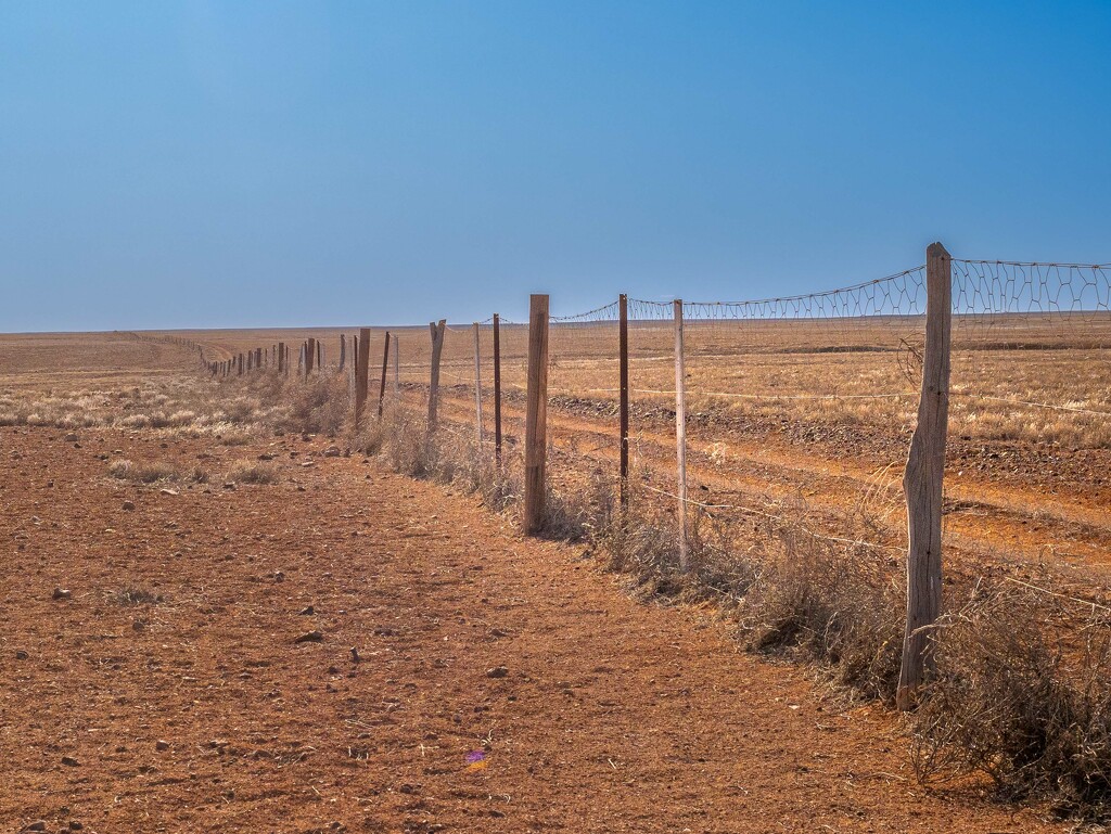 The longest fence in the world by gosia