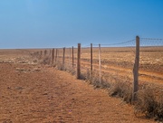 28th Sep 2022 - The longest fence in the world