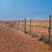 The longest fence in the world